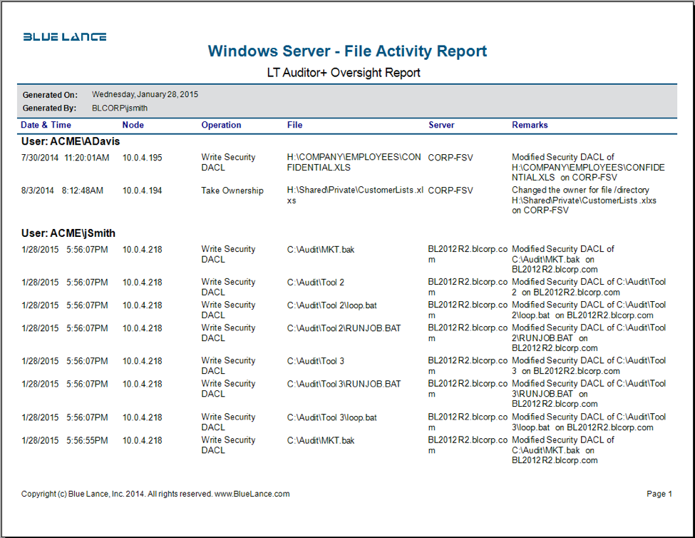 Windows server file activity report