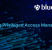 Privileged Access Management Audit