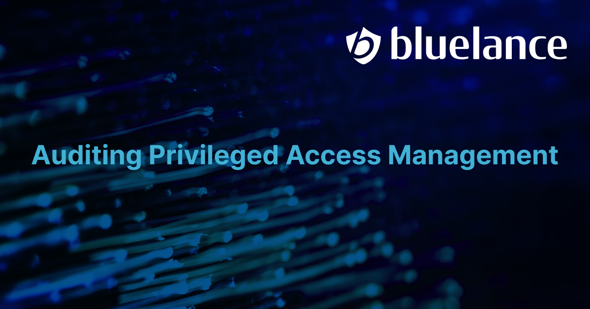Privileged Access Management Audit